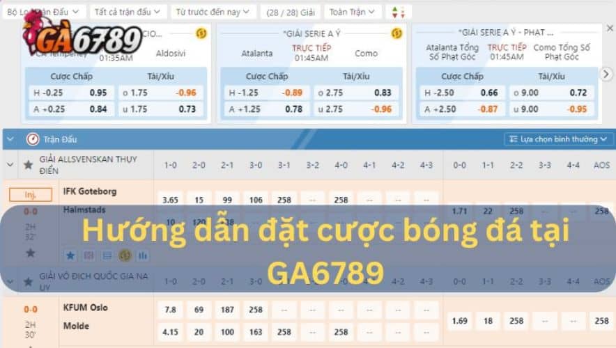 Hướng dẫn chi tiết các bước chơi cá cược bóng đá cho người mới